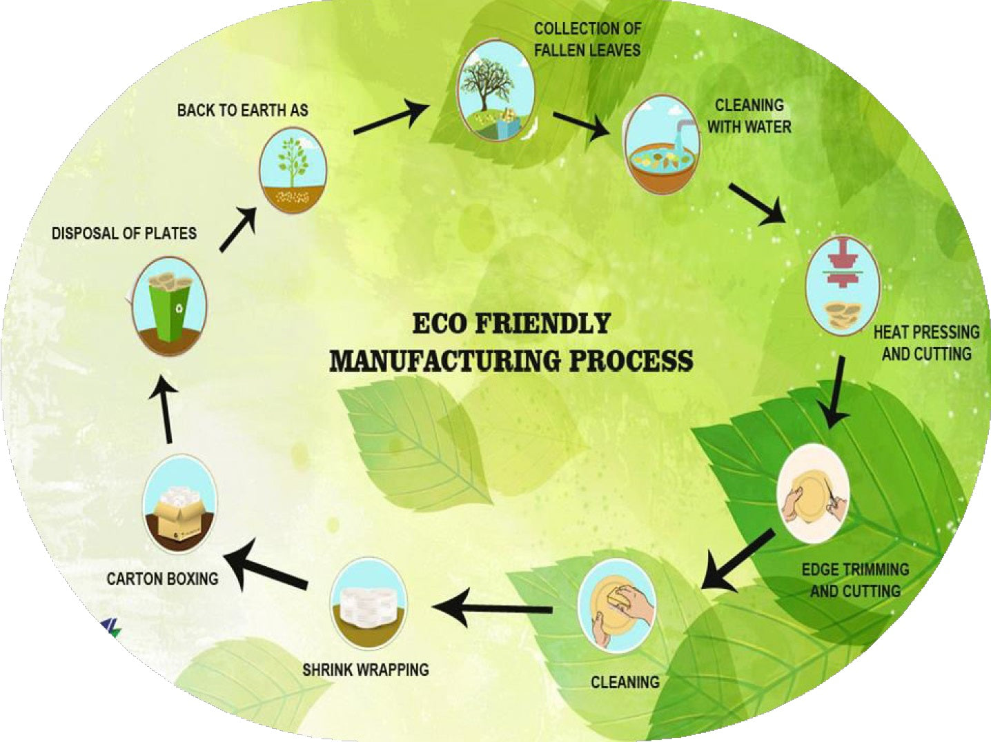 14"X10" Palm Leaf disposable Tray with Handle