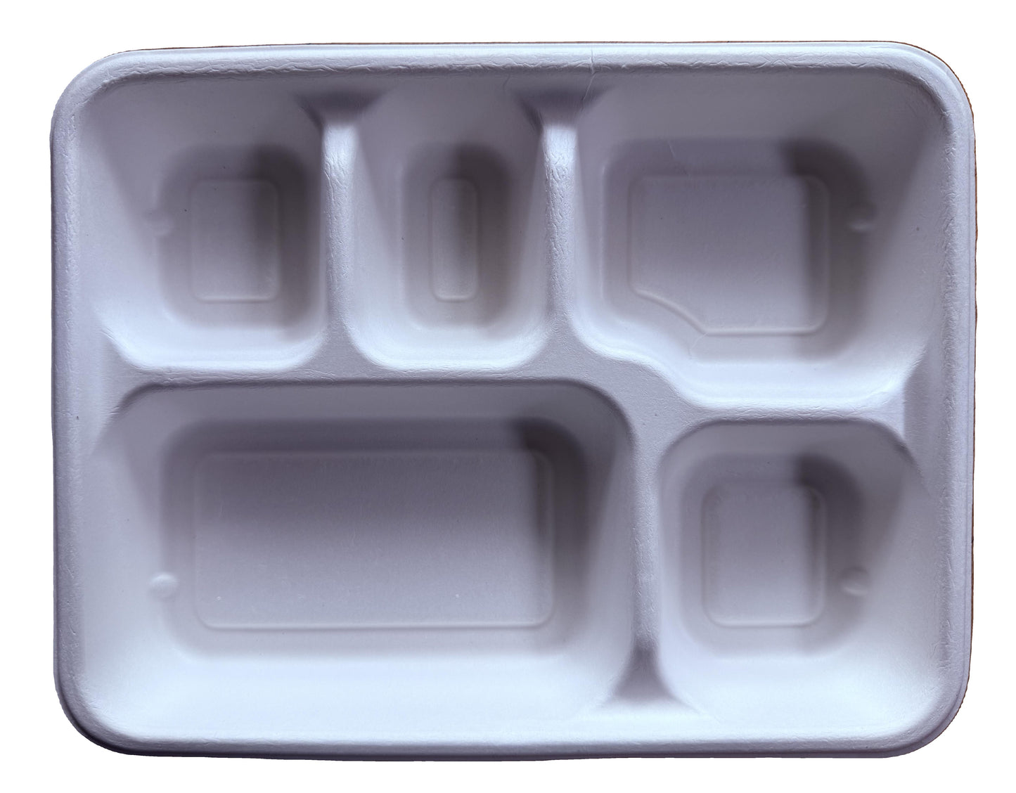 Bagasse (Sugarcane pulp) Disposable Lunch/Dinner Meal Trays- 100 Pack