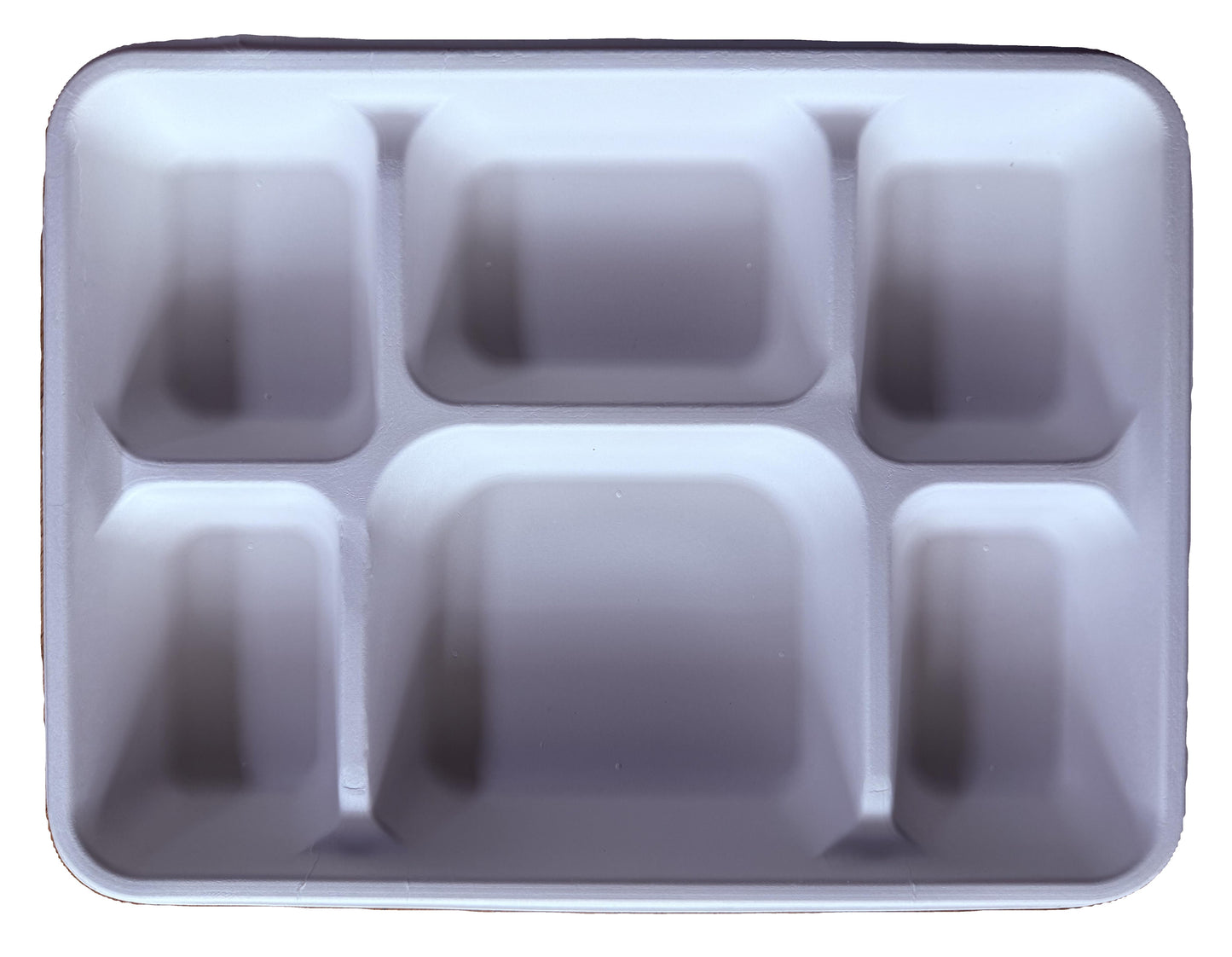 Bagasse (Sugarcane pulp) Disposable Lunch/Dinner Meal Trays- 100 Pack